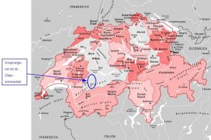 Lage in der Schweiz